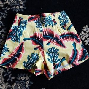 High Waist Shorts